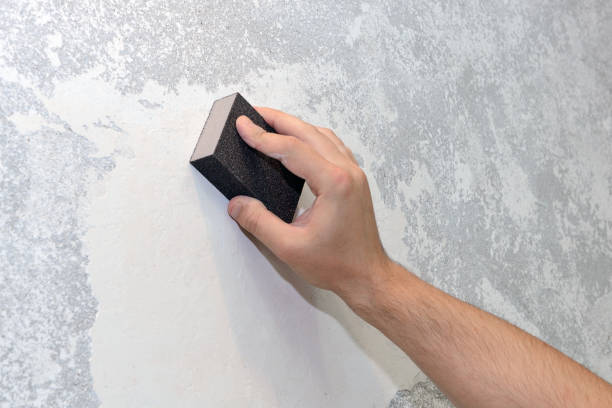 Mold Removal for HVAC Installations in Warrior, AL