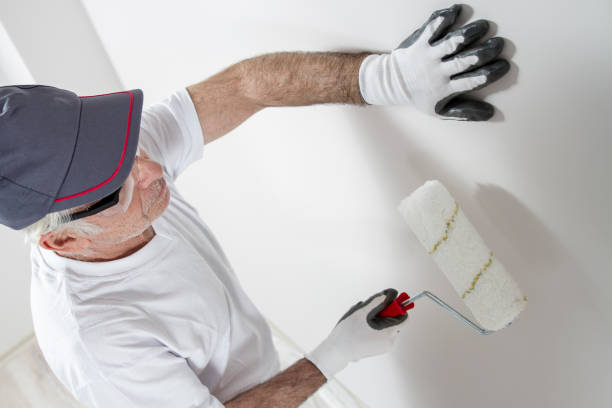 Best Mold Odor Removal Services  in Warrior, AL