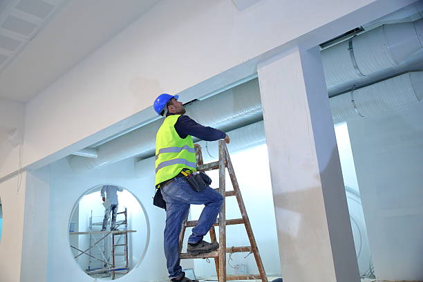 Best Basement Mold Removal  in Warrior, AL