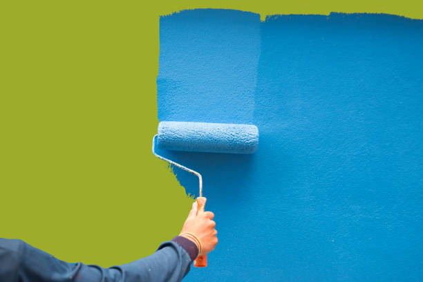 Reliable Warrior, AL Mold Removal Solutions