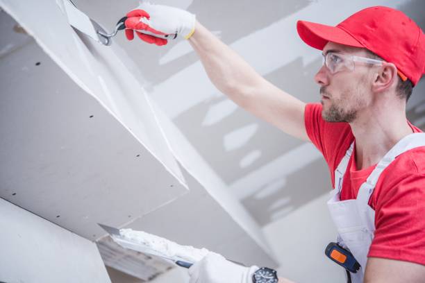 Best Mold Damage Restoration  in Warrior, AL